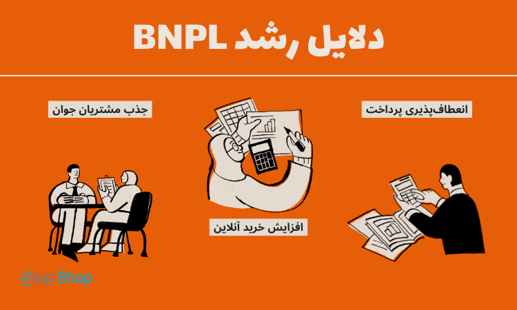 دلایل رشد BNPL